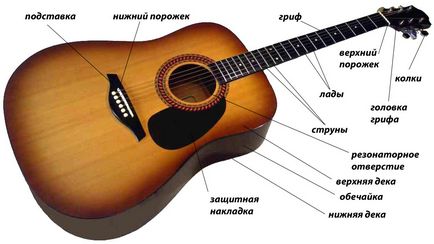 Tippek kezdőknek hogyan válasszuk ki az első gitár (a gitár első választás) Tippek kezdőknek hogyan válasszuk ki az első gitár