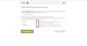 Ways, hogy pótolja WebMoney pénztárca hitelkártyával