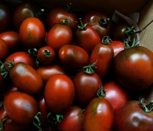 Tomato black láp fajta paradicsom, a hely, áttekintésre, képek és videó