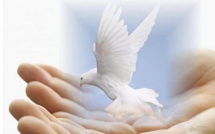 Mi az ember szellemisége (az ember lelki) Mi az emberi spiritualitás