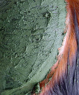 Típusú hajfestés hennával és Basma képen árnyalatú színek és színező sötét és világos színek
