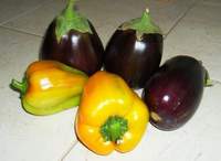 palánta termesztésére padlizsán és paprika (padlizsán) Növekvő palánták padlizsán és paprika