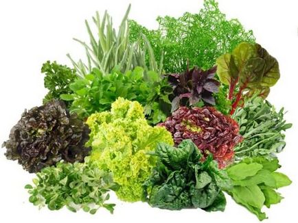Növekvő zöldek üvegházakban eladó egész évben, petrezselyem, kapor, saláta