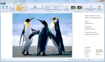 A Windows Live fő komponensei ablakok (alap) A Windows Live fő összetevőit ablakokkal