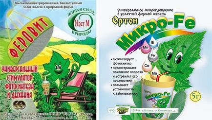 Klorózis - kezelésére, megelőzésére és típusok (klorózis) Klorózis - kezelésére, megelőzésére és típusok