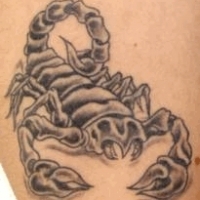 Jelentés tetoválás skorpió