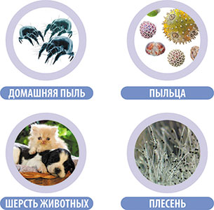 Алергии и хронични алергични заболявания - корпорация сибирско здраве