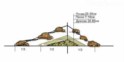 Rock градина със собствените си ръце - устройство схема и един пример за създаване на