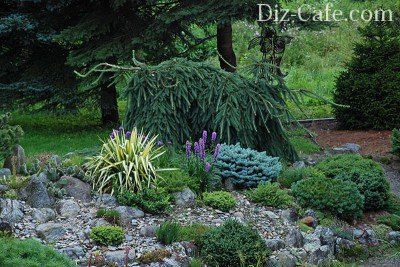 Rock градина със собствените си ръце - устройство схема и един пример за създаване на