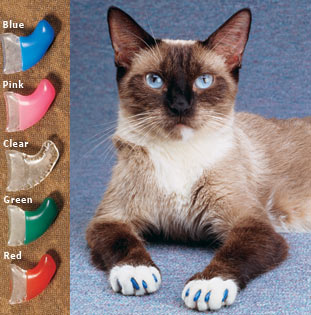 Antitsarapki котка ветеринарите мнения, цени и снимки с инструкции