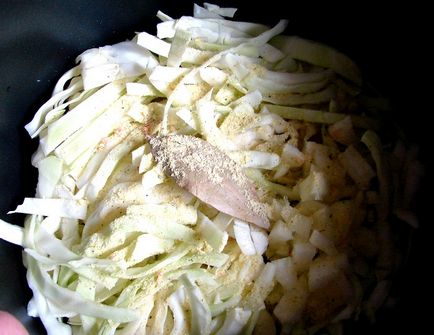 Bigus от прясно зеле с пиле - Bigus как да се готвя пиле и зеле рецепта с стъпка по стъпка