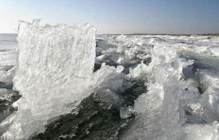 Южна Аралско море причините за смъртта, история, снимки