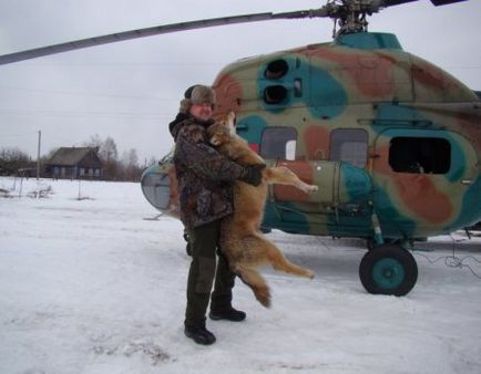 Какво се страхуват от вълци