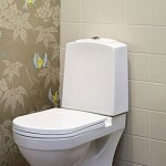 Как да се украсяват стената в опциите на тоалетните на довършителни материали