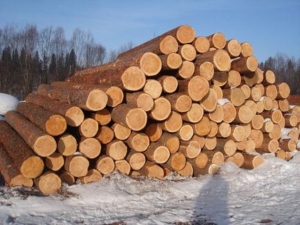 Това, което отличава дървесината от дъската