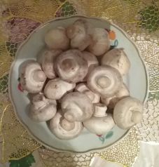 Колко полезна гъби печурки