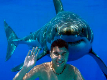 Какво да правите, когато се среща с акула, активен начин на живот