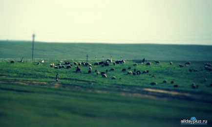 Какво е накланяне на смени