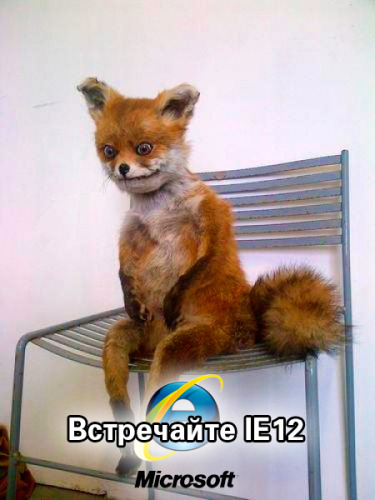 Плашилото седи лисица - популярен мем Runet
