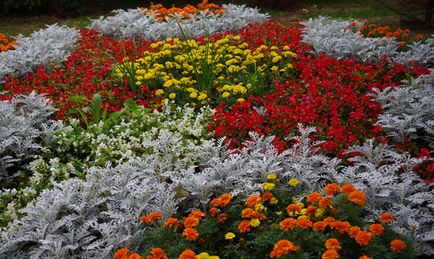 Цветни лехи на непрекъснат цъфтеж - красива цветна градина през цялата година видео
