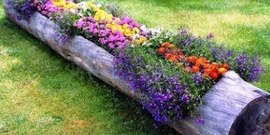 Цветни лехи на непрекъснат цъфтеж - красива цветна градина през цялата година видео
