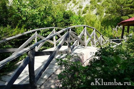 Декоративни мостове, мост, да избират за градината