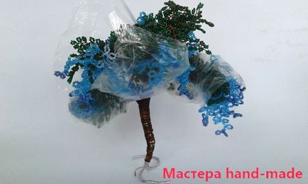 Дърво Борт - Wisteria майсторски клас със снимки