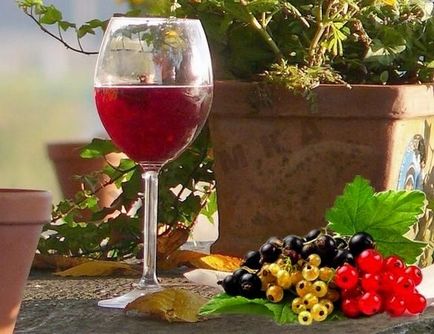 Домашно вино от плодове, как да се готви една прекрасна напитка