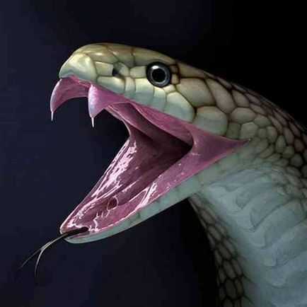Двадесет и забавни факти за змии