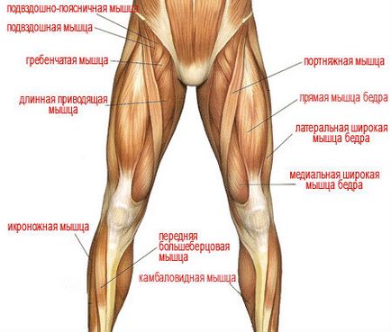 Ако ви боли мускулите на краката след тренировка, какво да правя, как да се намали болката