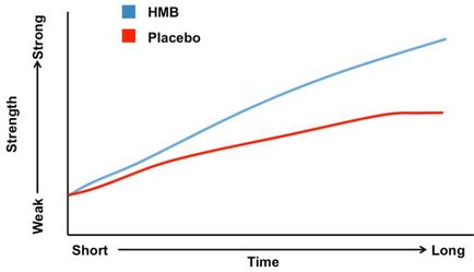 Hmb (бета-хидрокси бета-метилмаслена киселина) рекламира или сляпо постоянна добавка