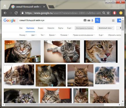 Как да търсим за снимка в Google