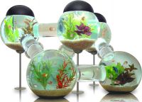 Как да оборудва аквариума