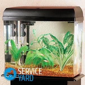 Как да се почисти аквариума от варовик, serviceyard-комфорт на дома си на една ръка разстояние