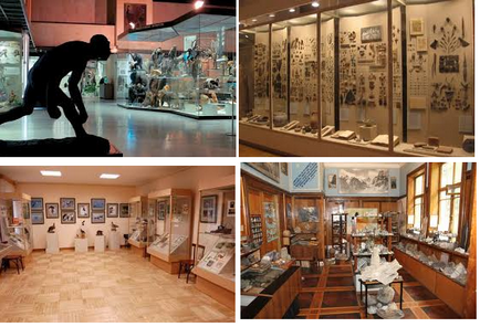 Как да отворите музей с експонати