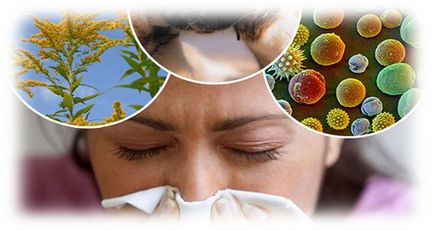Как да се разграничи от варицела от алергии в снимка на детето, маса за сравнения