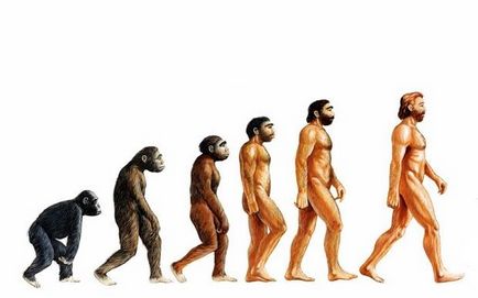 Кои са движещите сили на еволюцията