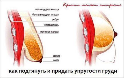 Какво е хепатит В е най-опасното - в или с последиците и усложненията