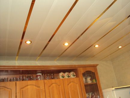 Какво е тавана за по-добра храна, по-добре от боя, която е най-подходяща за тавани кухня