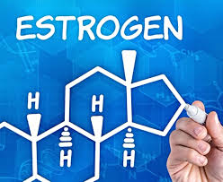 Как по-ниски нива на естроген при жените и мъжете