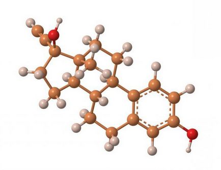 Как по-ниски нива на естроген при жените и мъжете