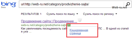 Как да видите сайта на страницата на кеша в Google, Yandex, Bing и