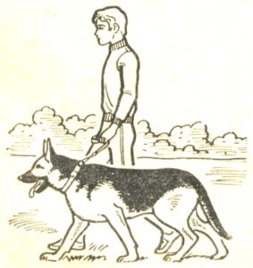 Как да разходи кучето