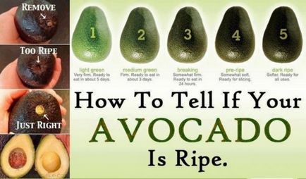 Как да изберем едно авокадо