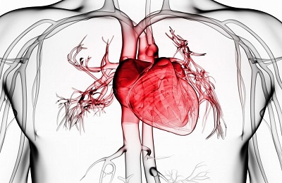 Как да се провери на кръвоносните съдове на сърцето диагностика на сърдечно-съдови заболявания и системи за инспекция