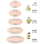 Как да растат зъби при деца схема, снимки, заповед на растеж