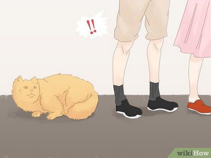 Как да се уверите, че вашата котка не е уринирал върху килима