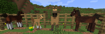 Как да си направим Minecraft на кон и как да се справите (Minecraft) Как да си направим Minecraft на кон и как да се справите