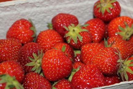 Как да запазим пресни ягоди