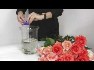Как да запазим отрязаните рози във ваза за дълго време